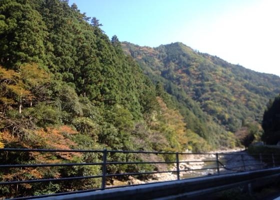 紅葉2