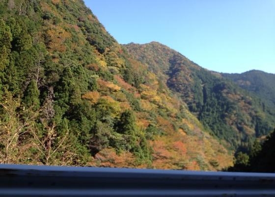 紅葉1