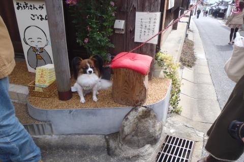 幸せの椅子