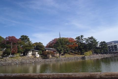 猿沢池