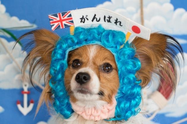 てふ被り物