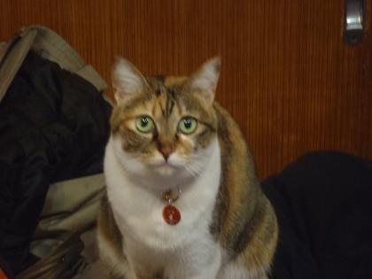 appu hiro1
