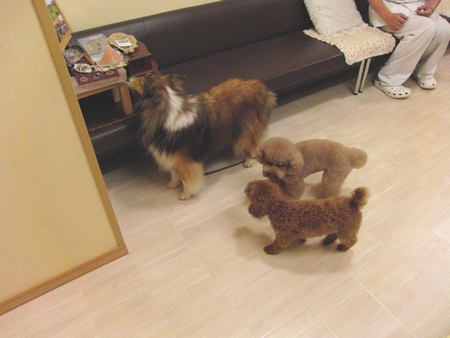 2012-7-21-4.jpg