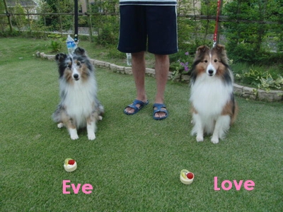 2012-8-26.jpg