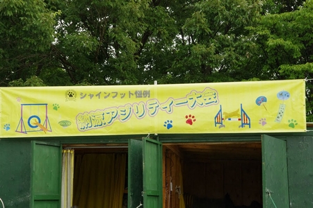 _IGP7965.jpg