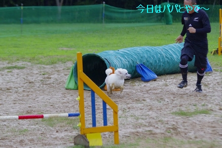 _IGP8322.jpg