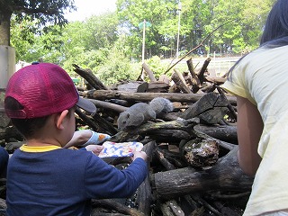 IMG_1228.jpg