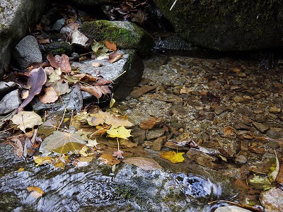 P1030324.jpg