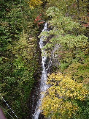 P1030344.jpg