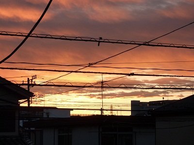 P1150286.jpg