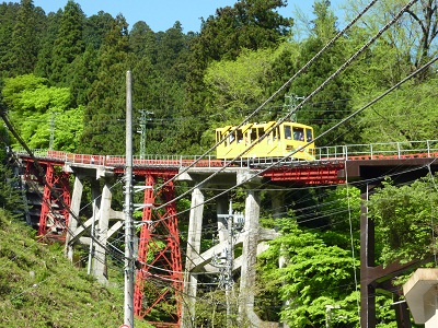 P1150291.jpg