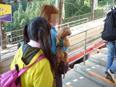 P1150302.jpg