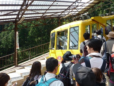 P1150305.jpg