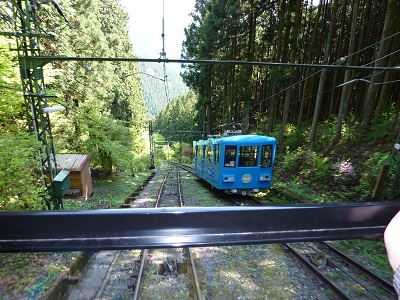 P1150318.jpg