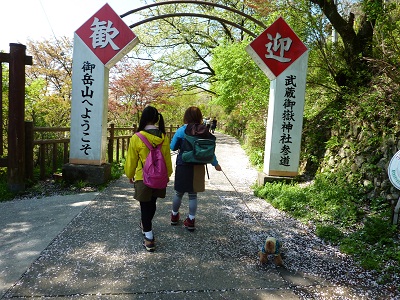 P1150324.jpg