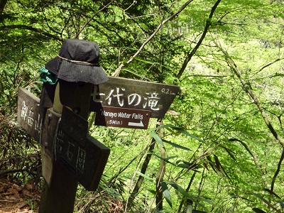 P1150381.jpg