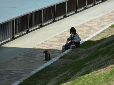 P1150490.jpg