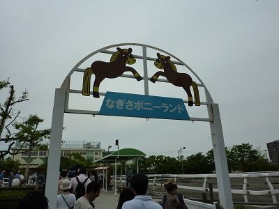 P1150706.jpg