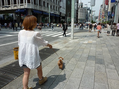 P1160274.jpg