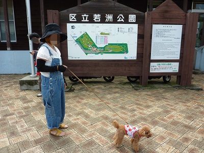 P1160433.jpg