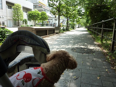 P1160536.jpg