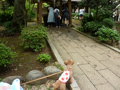 P1160599.jpg