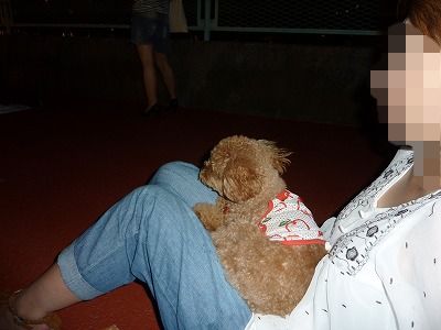 P1160959.jpg
