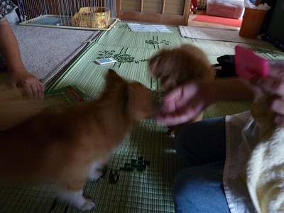 P1170148.jpg