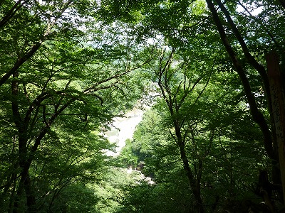 P1170581.jpg