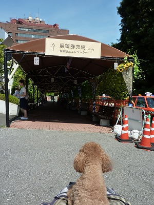 P1170934.jpg