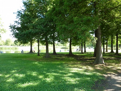 P1180233.jpg