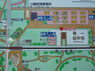 P1180241.jpg