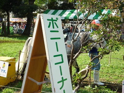 P1180436.jpg