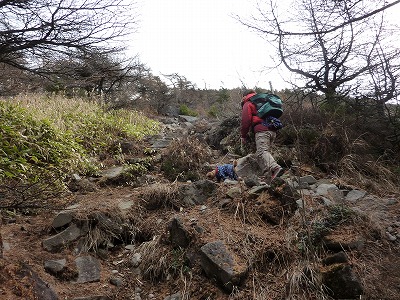 P1190168.jpg