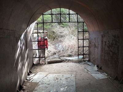 P1190210.jpg