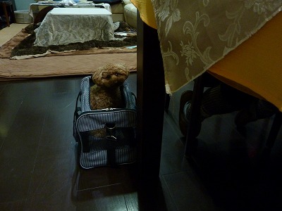 P1190392.jpg
