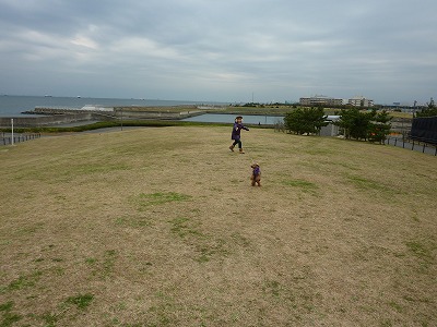P1190788.jpg