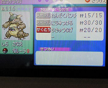 ガルーラ_エメラルド2