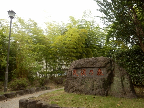 2-11