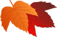 紅葉2