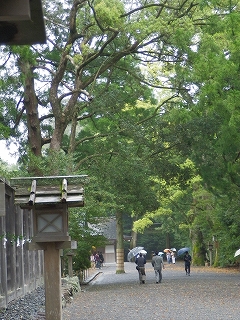 IMGP1452.jpg