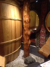 IMG_5489.jpg