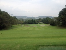 IMG_5726.jpg