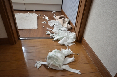 1_20120724002146.jpg