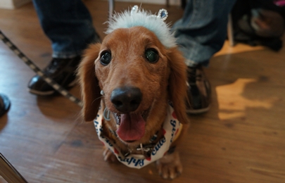 2-9_20120613005033.jpg