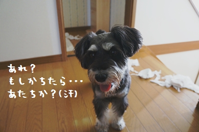 5_20120820235440.jpg