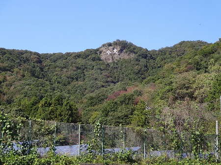 DSC04671.jpg