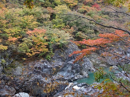DSC04777.jpg