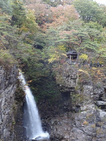 DSC04811.jpg