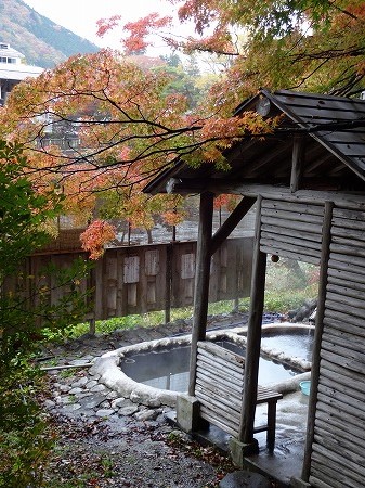 DSC04842.jpg